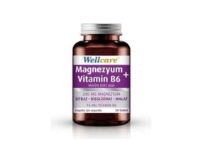 wellcare magnezyum3 2