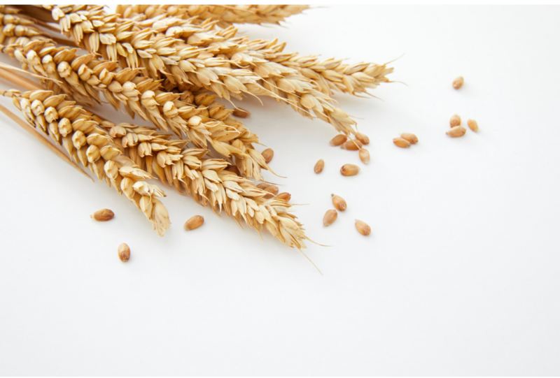 glutensiz