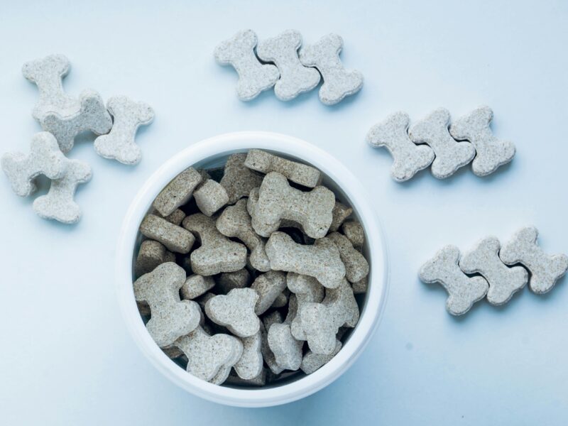 Top view of bone-shaped dog treats in a white bowl, on a light blue background.